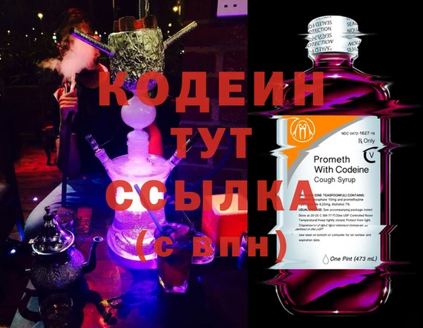 мдпв Весьегонск